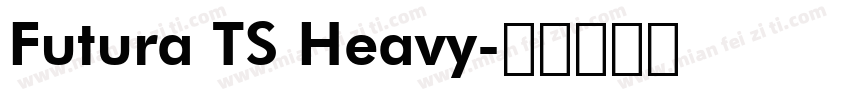 Futura TS Heavy字体转换